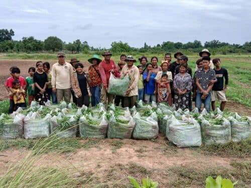 ក្រុមការងារមន្ទីរកសិកម្ម រុក្ខាប្រមាញ់ និងនេសាទខេត្តឧត្តរមានជ័យ បានបន្តប្រមូលផលបន្លែត្រកួន ក្តិបឪឡឹក និងស៊ុតទា
