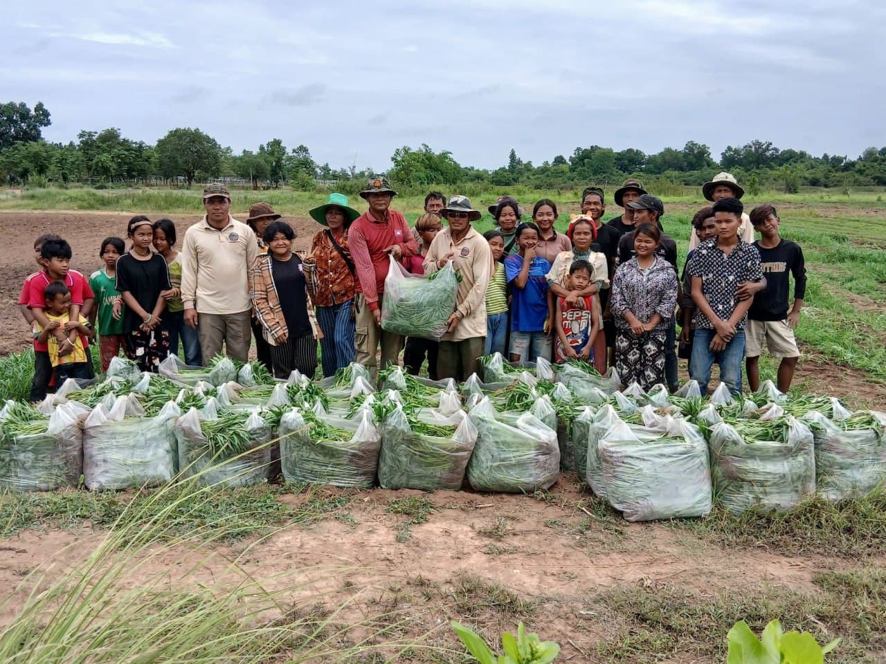 ក្រុមការងារមន្ទីរកសិកម្ម រុក្ខាប្រមាញ់ និងនេសាទខេត្តឧត្តរមានជ័យ បានបន្តប្រមូលផលបន្លែត្រកួន ក្តិបឪឡឹក និងស៊ុតទា